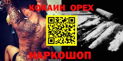 шишки Новодвинск