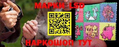 шишки Новодвинск