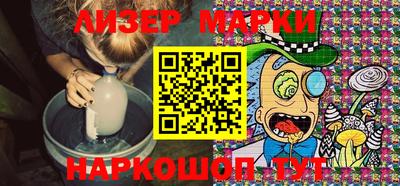шишки Новодвинск