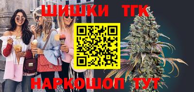 шишки Новодвинск