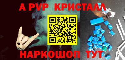 шишки Новодвинск