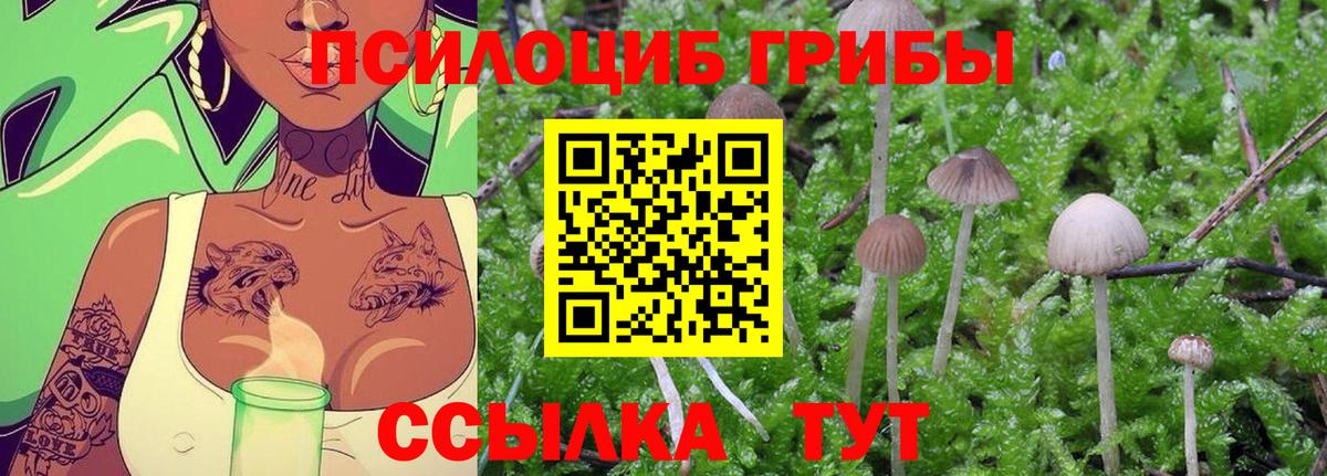 Псилоцибиновые грибы Magic Shrooms  Вход с VPN  Балабаново 